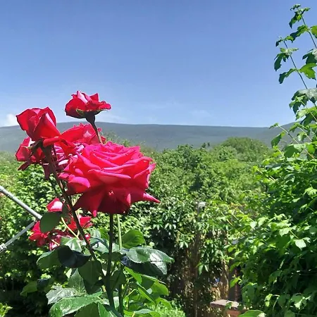 La Casa De La Huerta Nyaraló Vinuesa