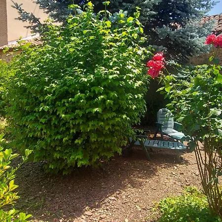 La Casa De La Huerta Vinuesa