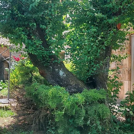 La Casa De La Huerta * Vinuesa