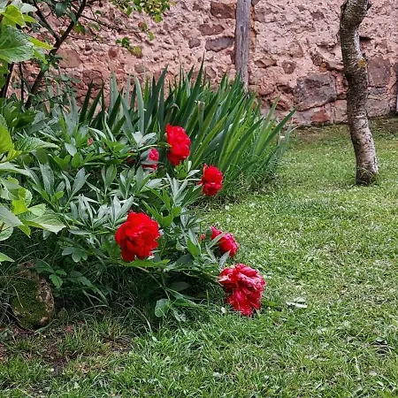 La Casa De La Huerta Hébergement de vacances Vinuesa